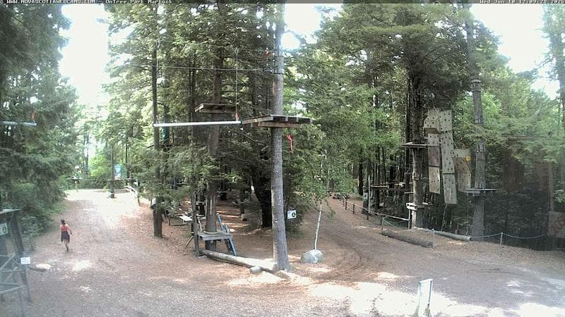 Ontree Park
