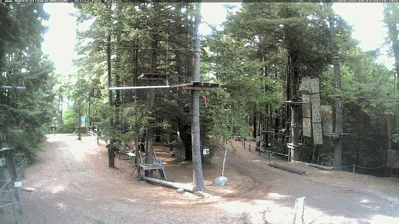 Ontree Park