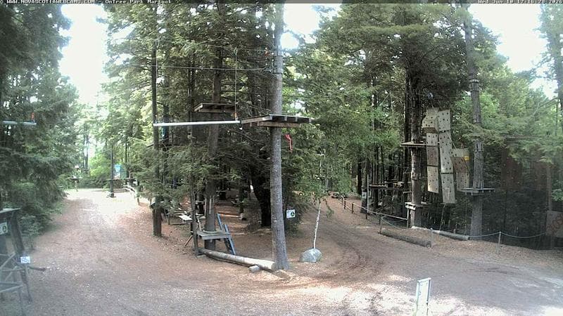 Ontree Park