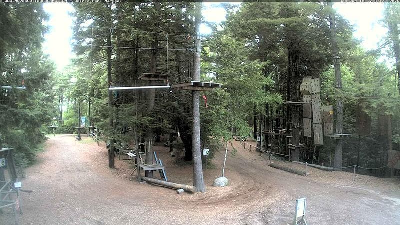 Ontree Park