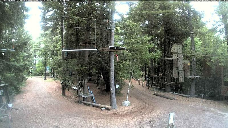 Ontree Park