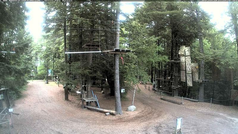 Ontree Park
