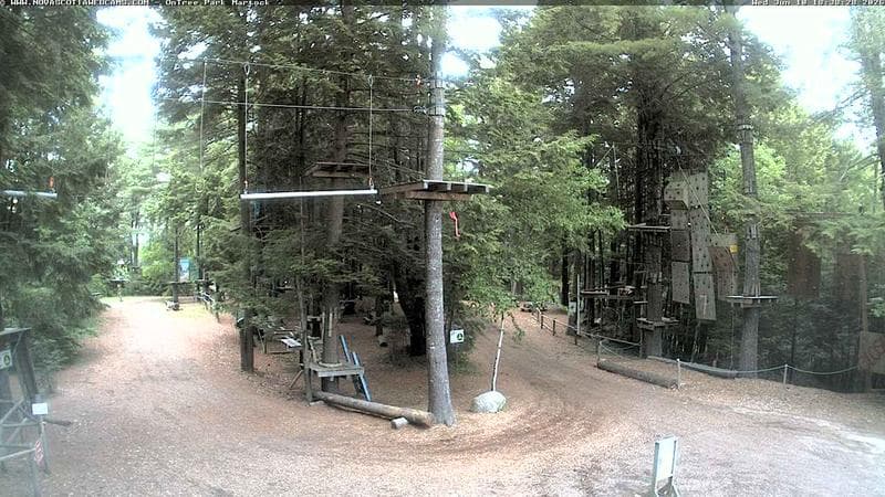 Ontree Park