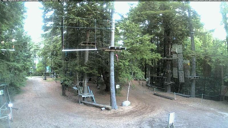 Ontree Park
