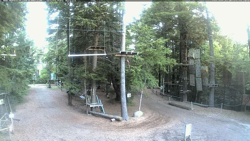 Ontree Park