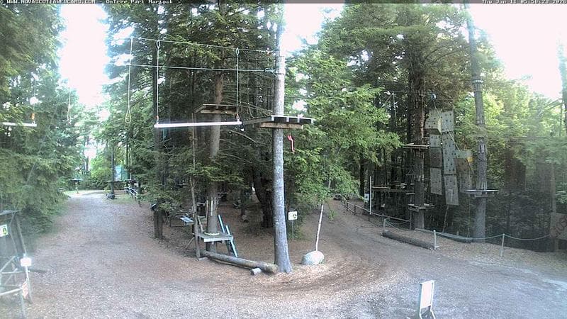 Ontree Park