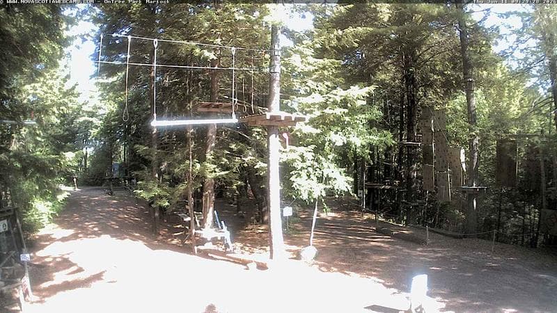 Ontree Park