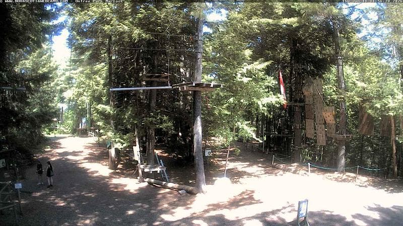 Ontree Park