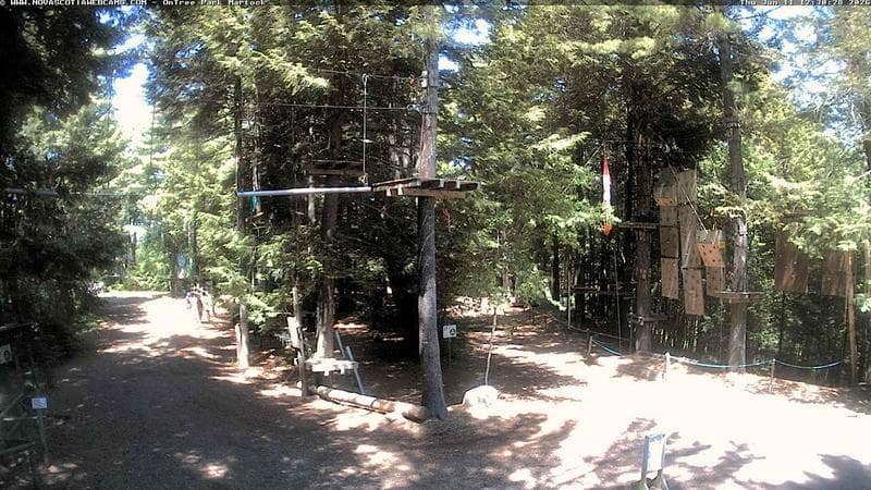 Ontree Park
