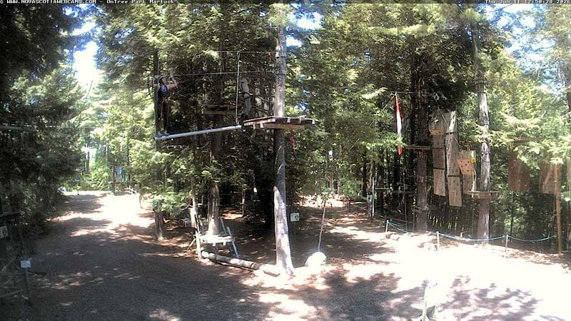 Ontree Park