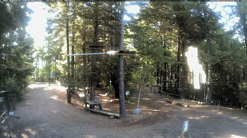 Ontree Park