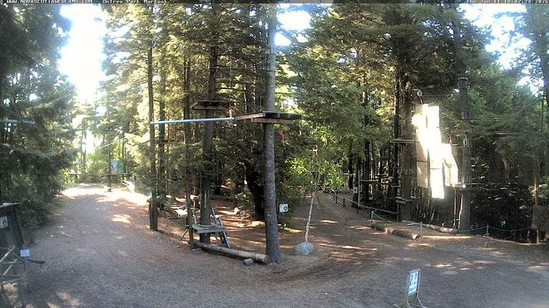 Ontree Park