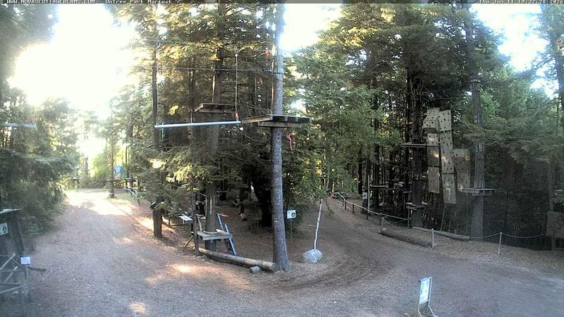 Ontree Park