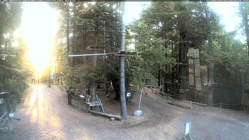 Ontree Park