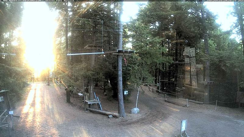Ontree Park
