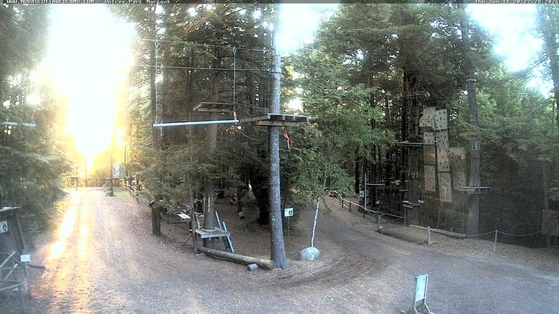 Ontree Park