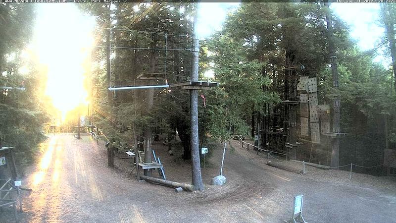 Ontree Park