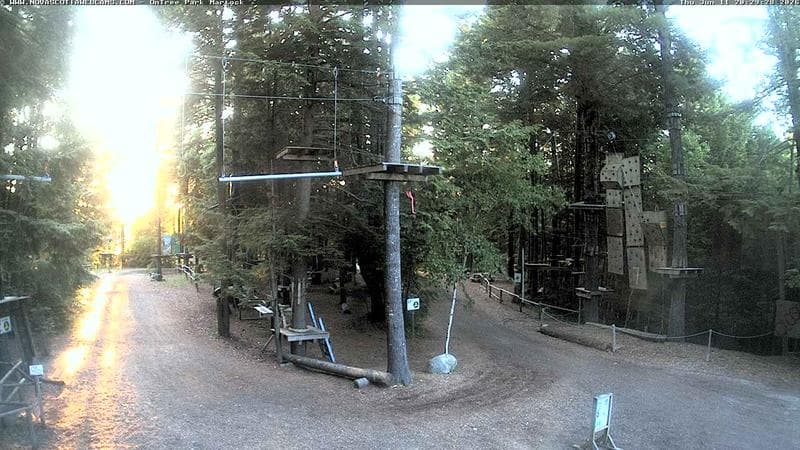 Ontree Park