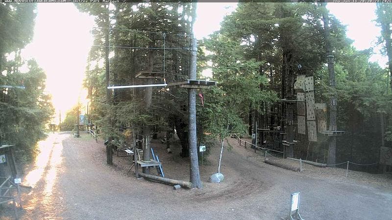 Ontree Park
