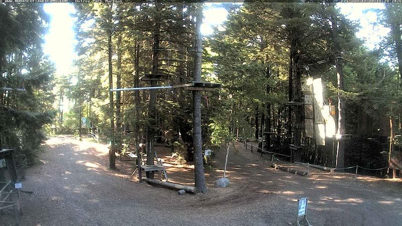 Ontree Park