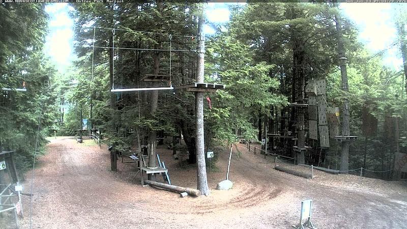 Ontree Park