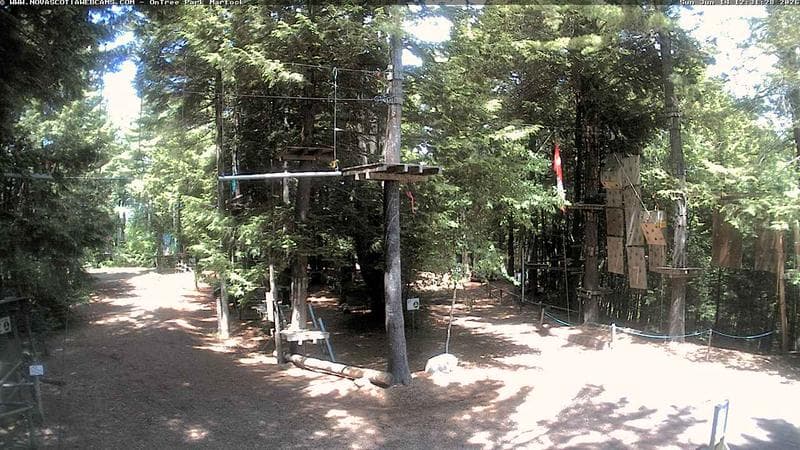 Ontree Park