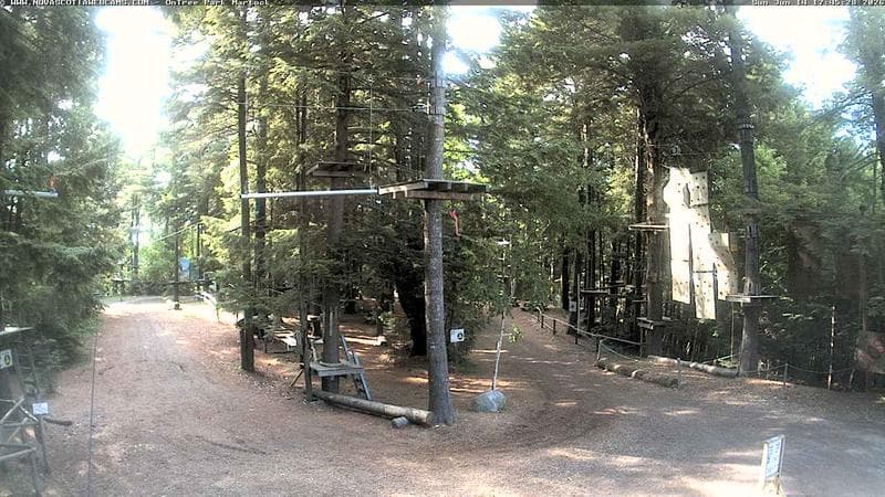 Ontree Park