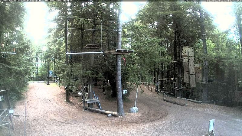 Ontree Park