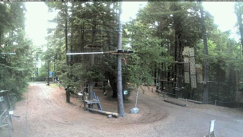 Ontree Park
