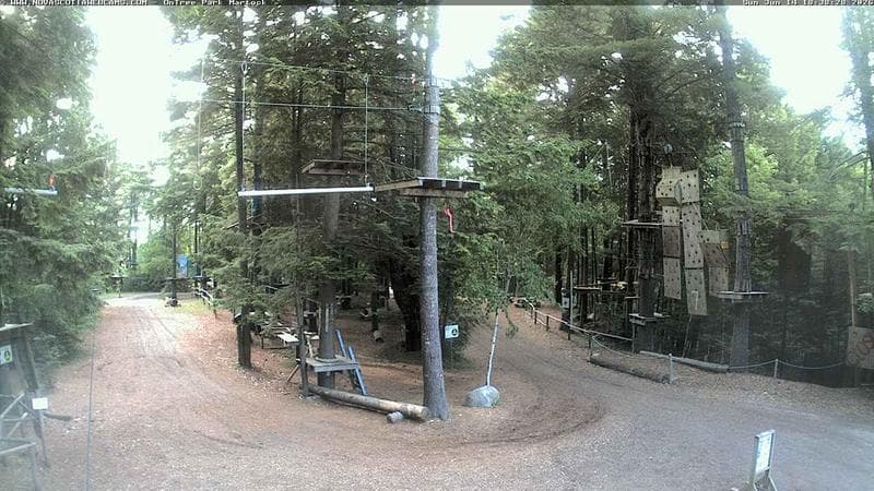 Ontree Park