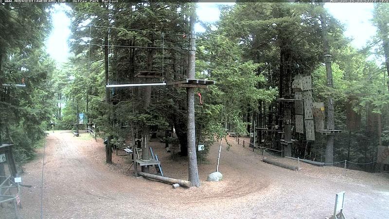 Ontree Park