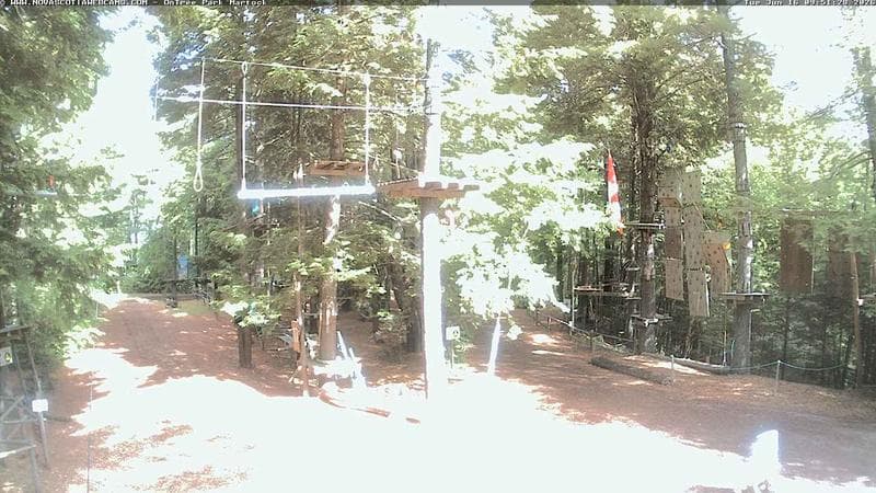 Ontree Park