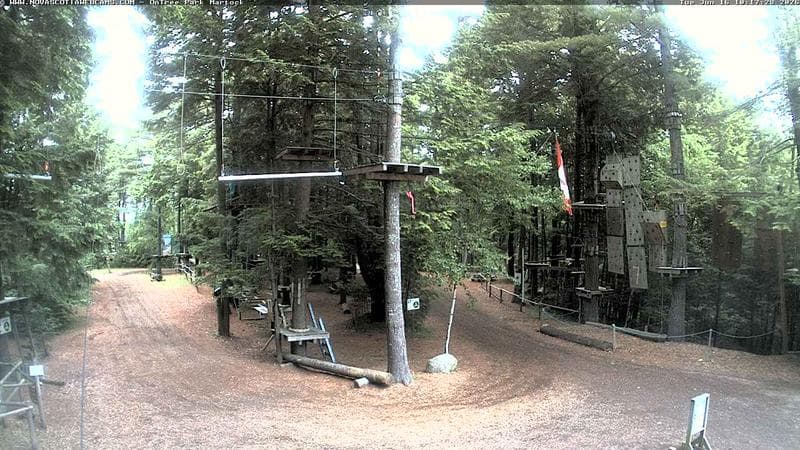 Ontree Park
