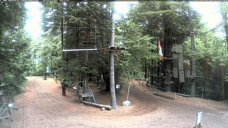 Ontree Park