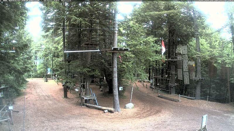 Ontree Park