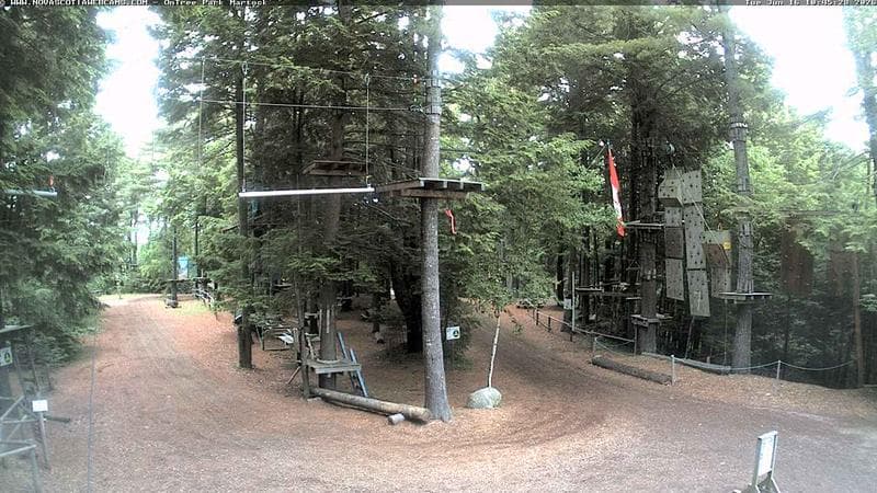 Ontree Park
