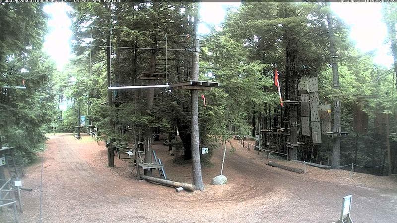 Ontree Park