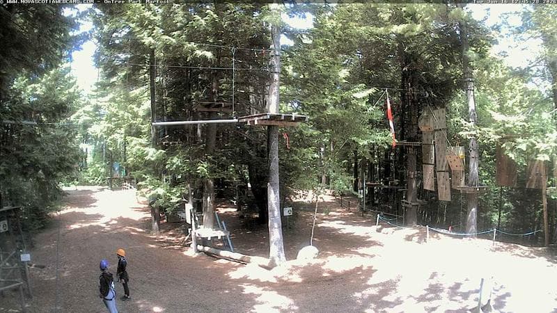 Ontree Park