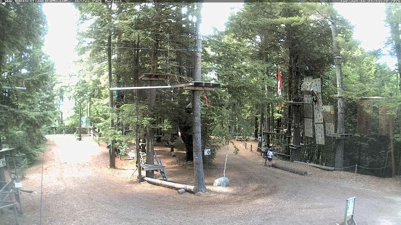 Ontree Park