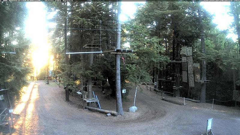 Ontree Park