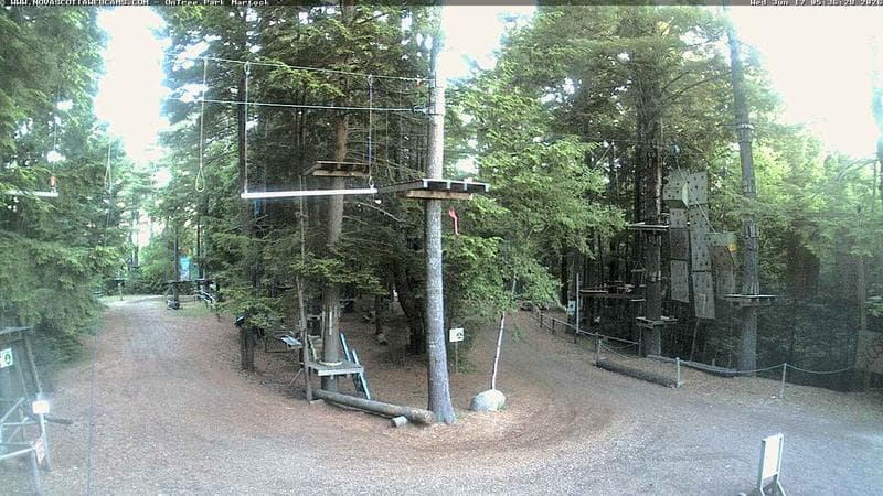 Ontree Park