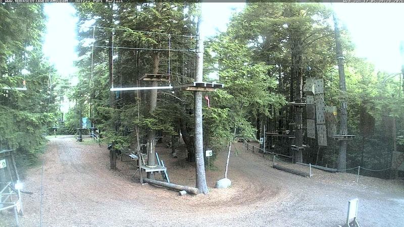 Ontree Park