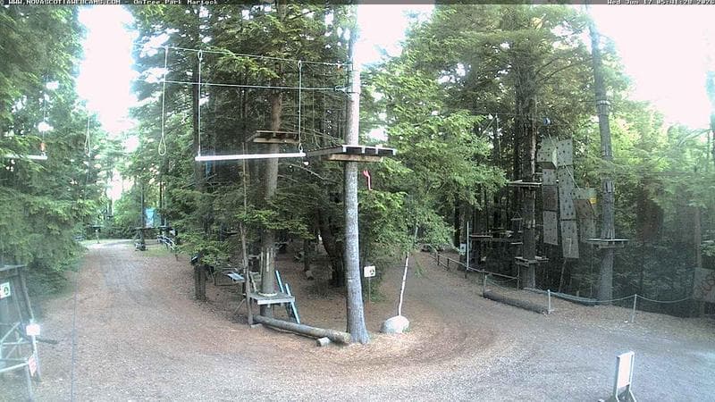 Ontree Park