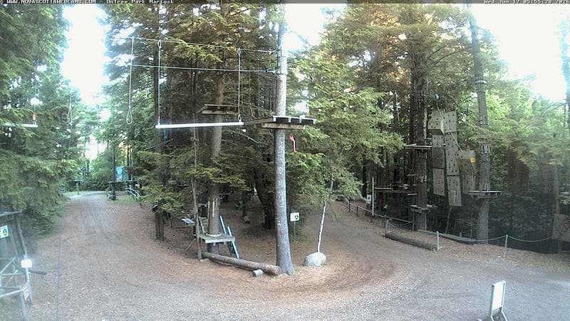 Ontree Park
