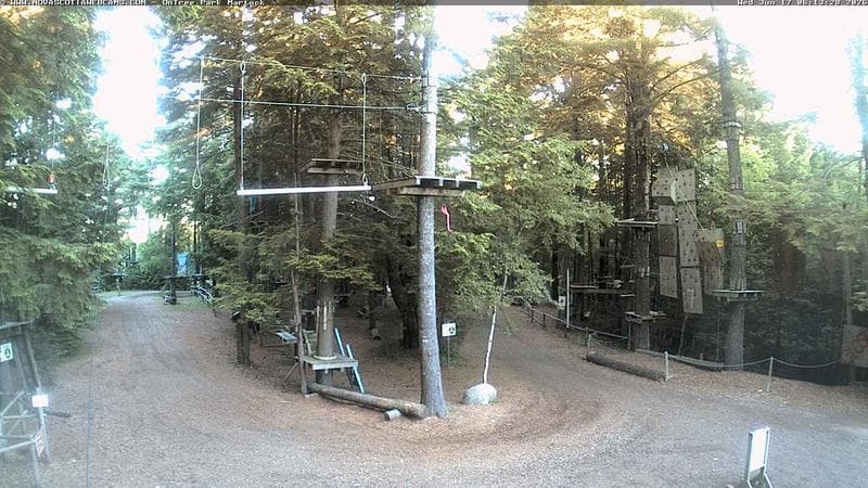 Ontree Park