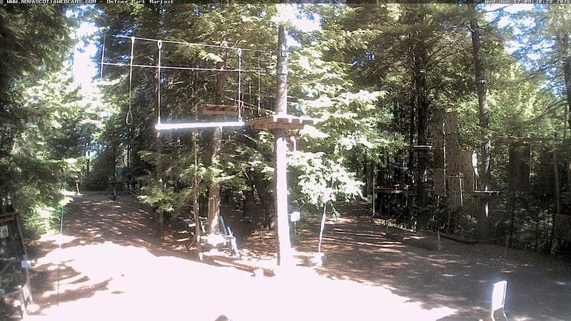Ontree Park
