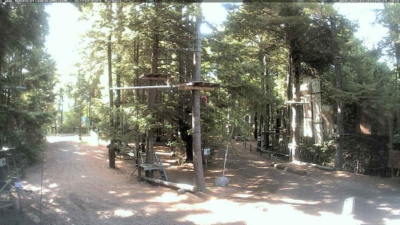 Ontree Park