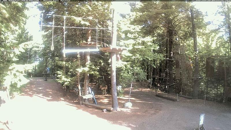 Ontree Park