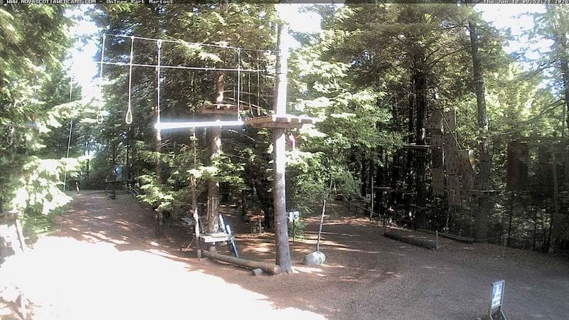Ontree Park