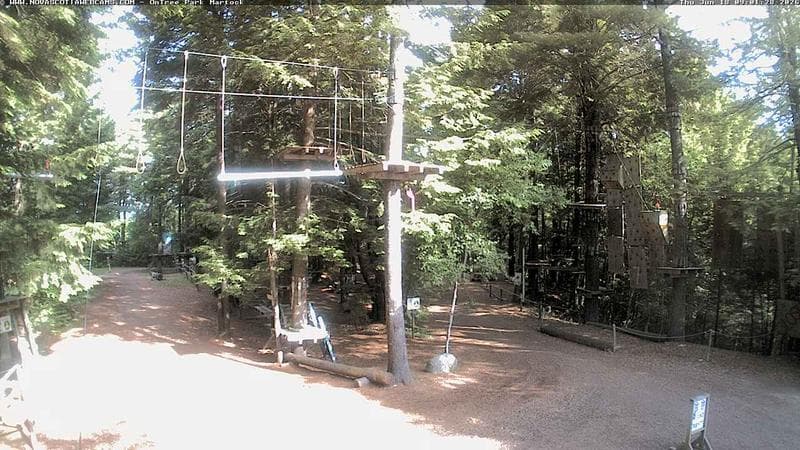 Ontree Park